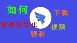 最新爆料拼多多视频下载,揭秘一键保存热门短视频的秘密
